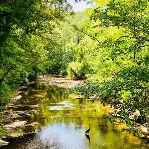 Meet your Posher, Molly